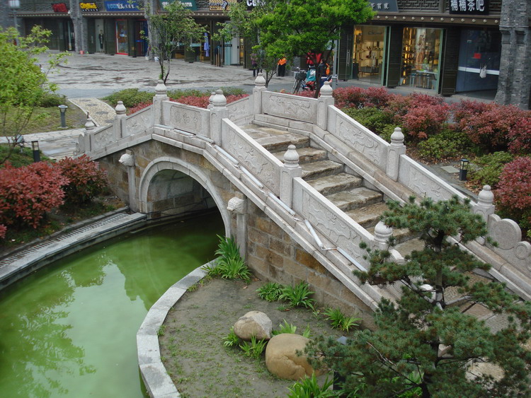 dsc08301.jpg