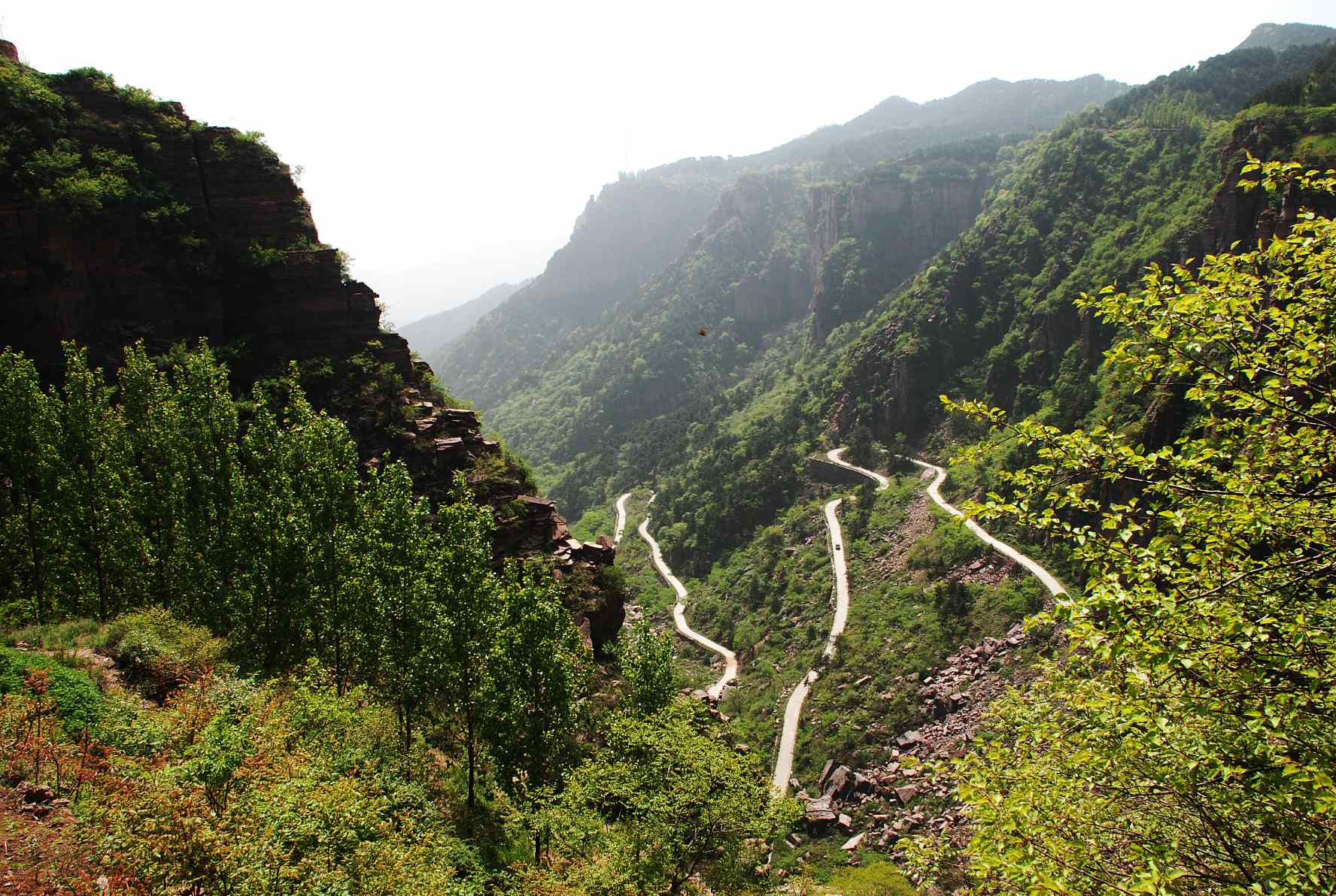 ޽կdsc_5998.jpg