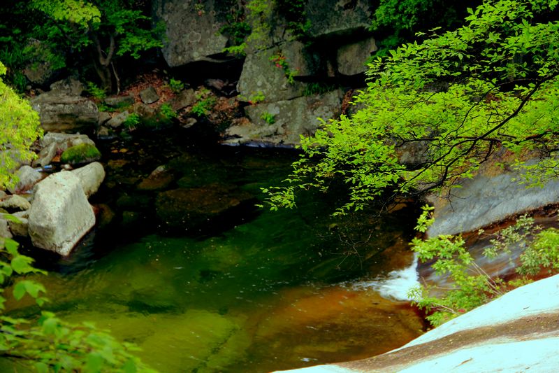 _mg_7751.jpg