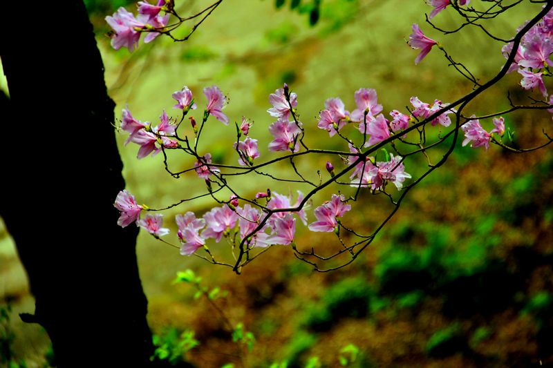 _mg_7755.jpg