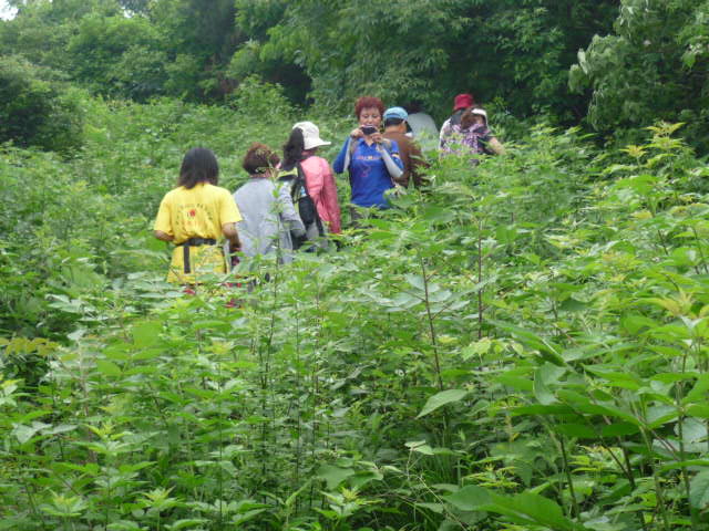 p1060750.jpg