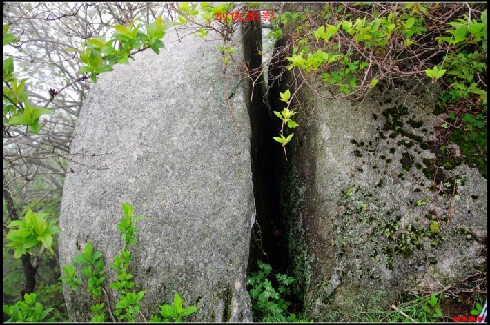 conew_321.jpg