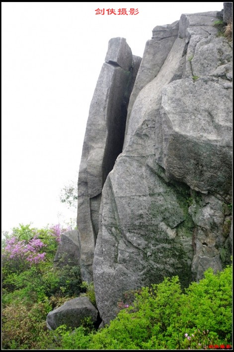 conew_361.jpg