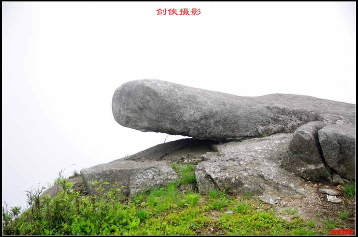 conew_491.jpg