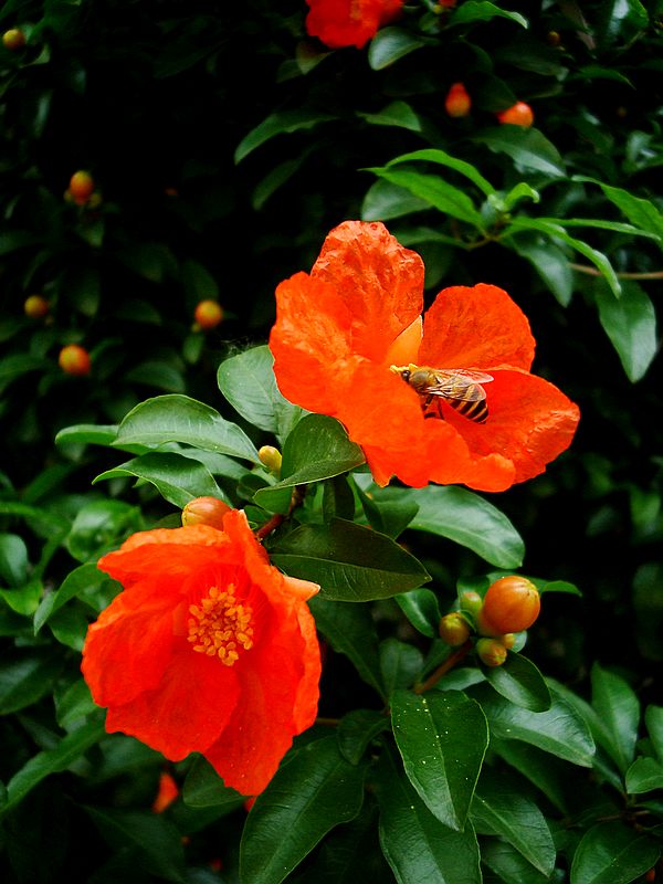 dsc09407.jpg