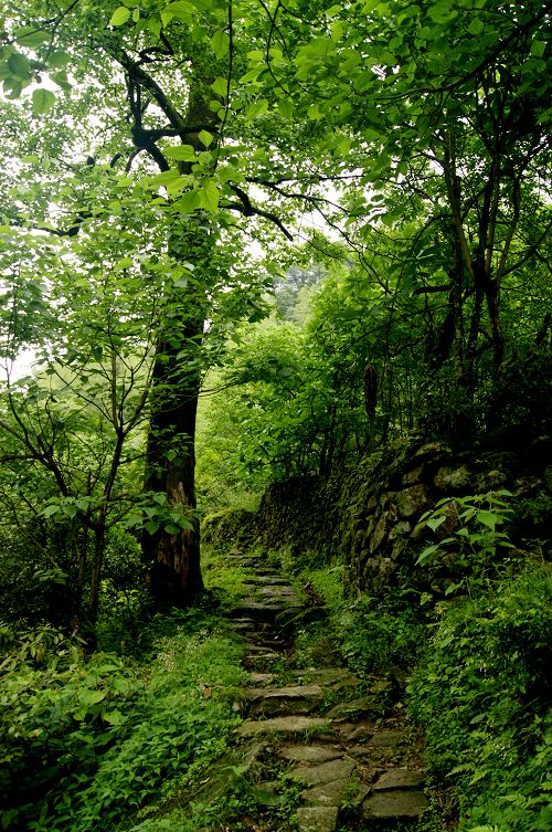 dsc00919.jpg