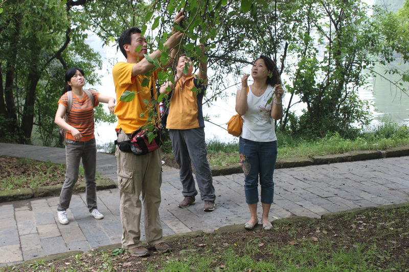 Ƭ 079.jpg