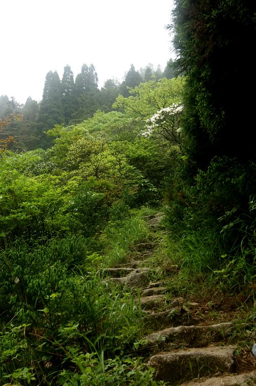 dsc00946.jpg