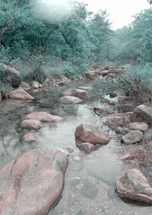 p1040191-1.jpg