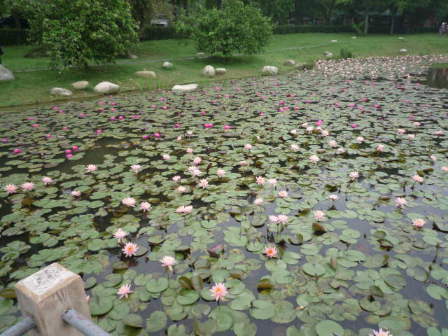 p1050150.jpg