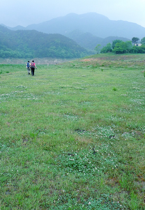 p1040215-1.jpg