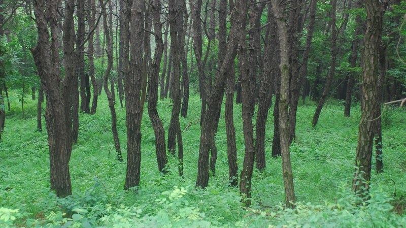 dsc_8053.jpg