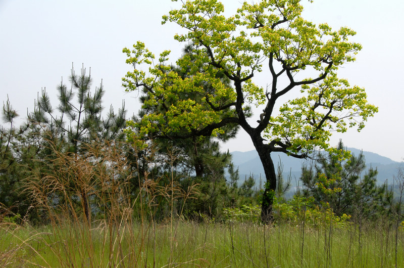 dsc_0072.jpg