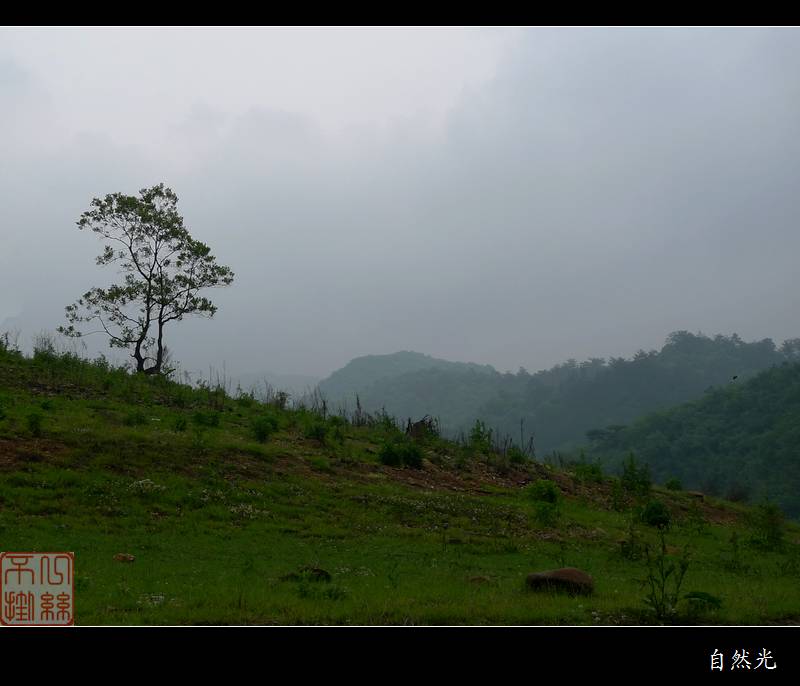 l1330793.jpg