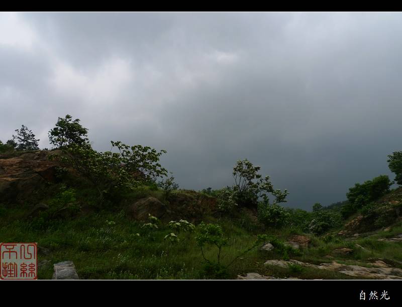l1330821.jpg