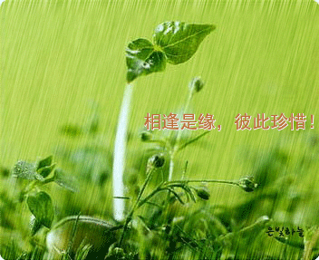 553.gif