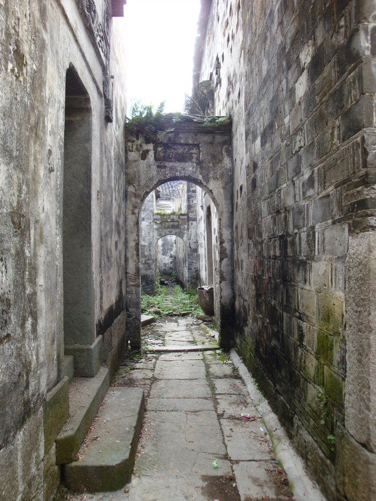 51965.jpg