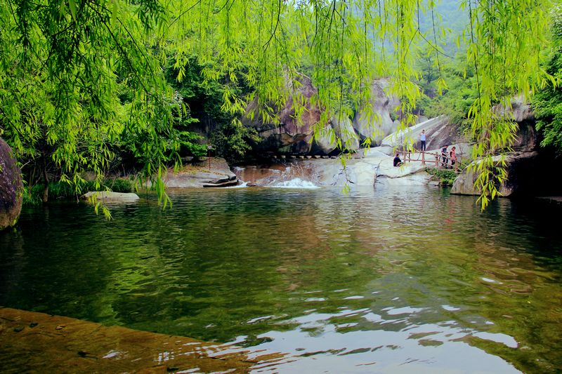 _mg_8219.jpg