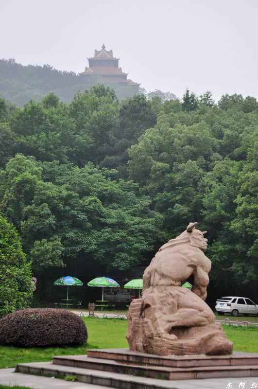 dsc_0162.jpg