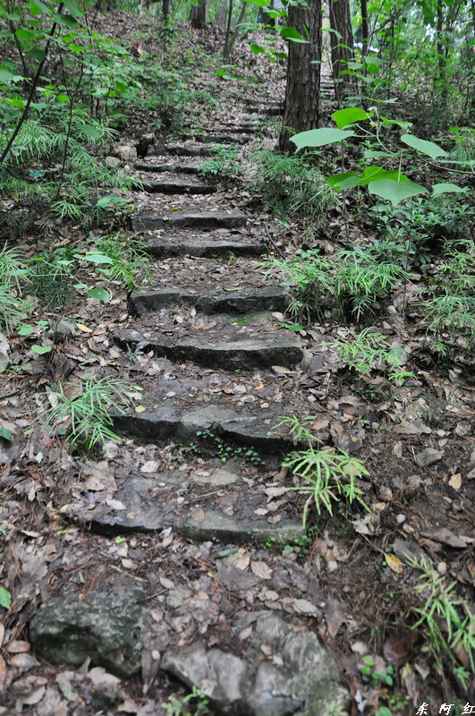 dsc_0139.jpg