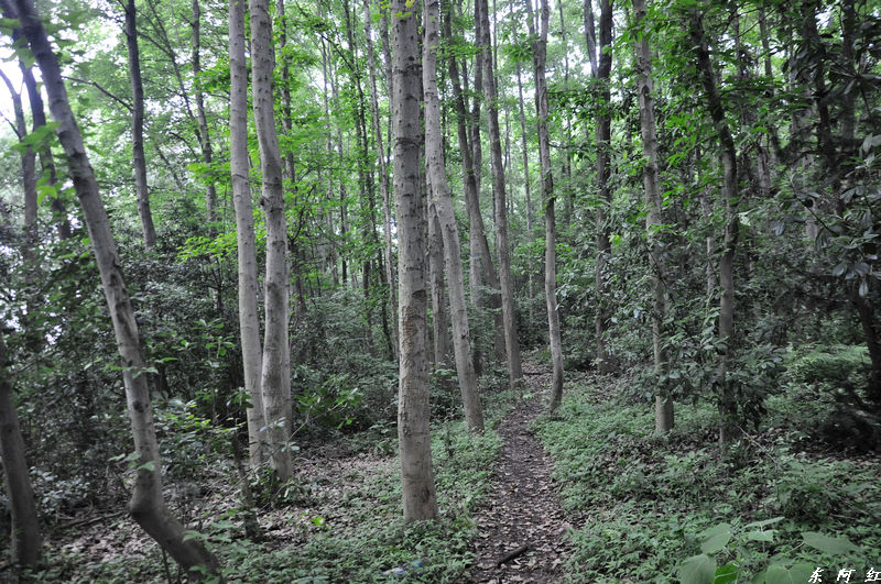 dsc_0137.jpg