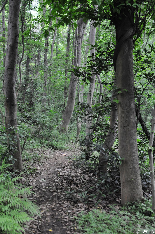 dsc_0136.jpg