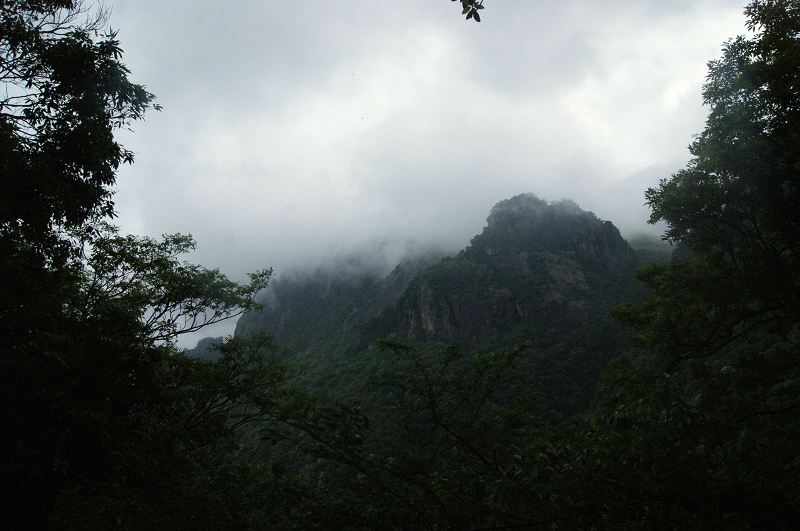 dsc01060.jpg