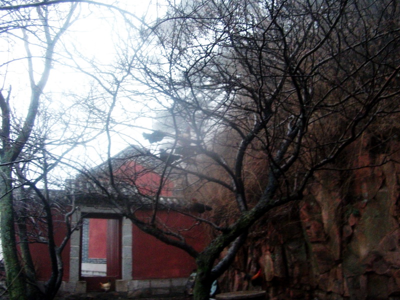 dscf0225.jpg