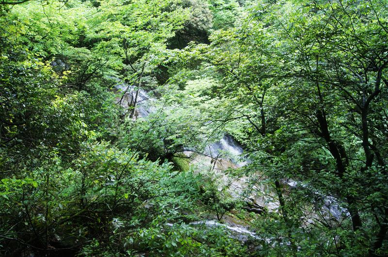 dsc01079.jpg