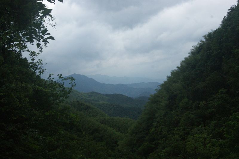 dsc01110.jpg