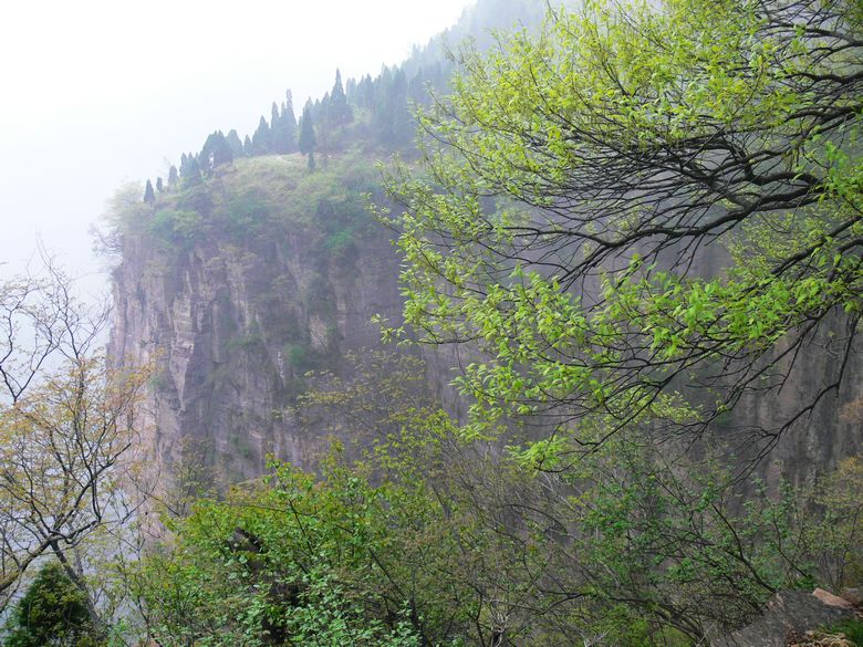 p1200086.jpg