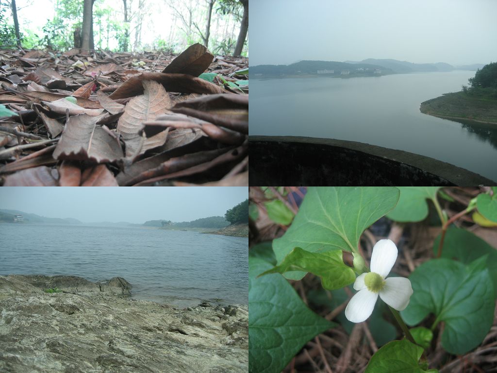 2012.5.13ݾѵ.jpg