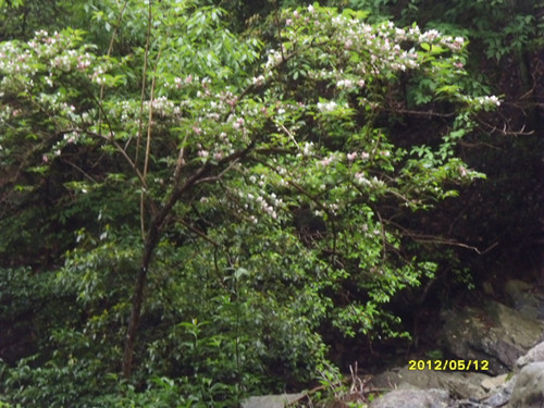 sdc13796__.jpg