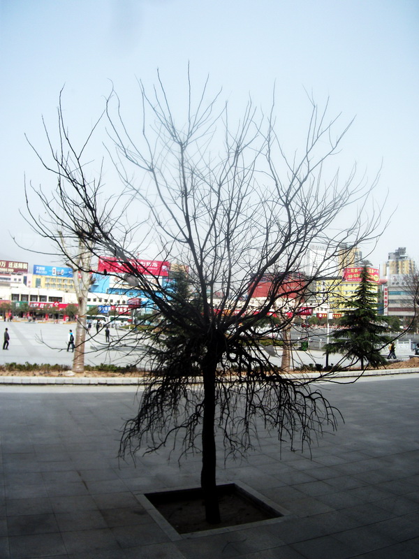 dscf0450.jpg