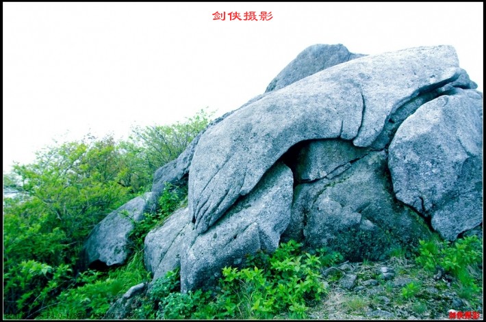 conew_59.jpg