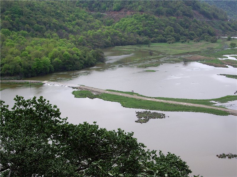 imgp3204_.jpg