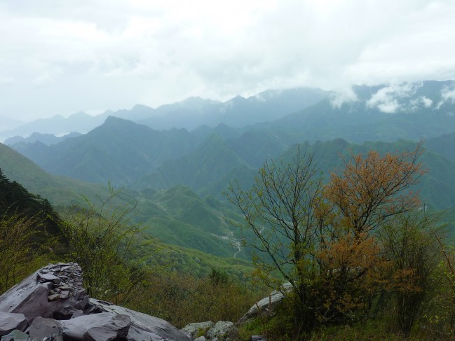 p1060918_conew1.jpg
