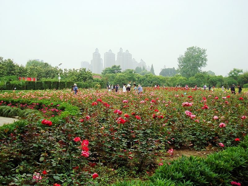 dsc01128.jpg