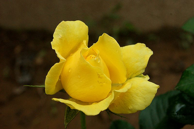 dsc01200.jpg