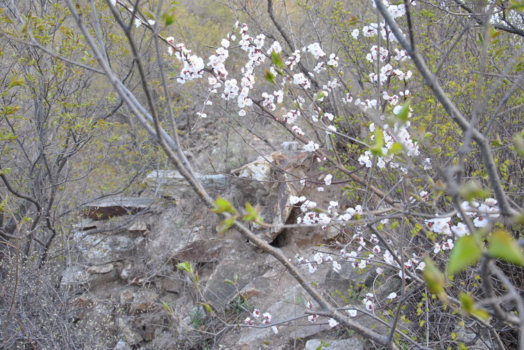 20120429һ۵_090.jpg