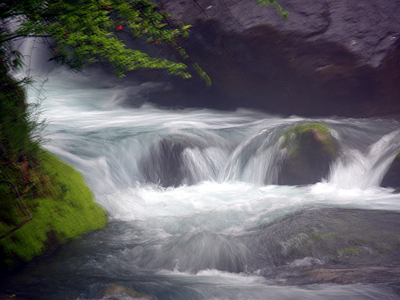 p5116558_.jpg