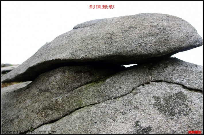 conew_5.jpg