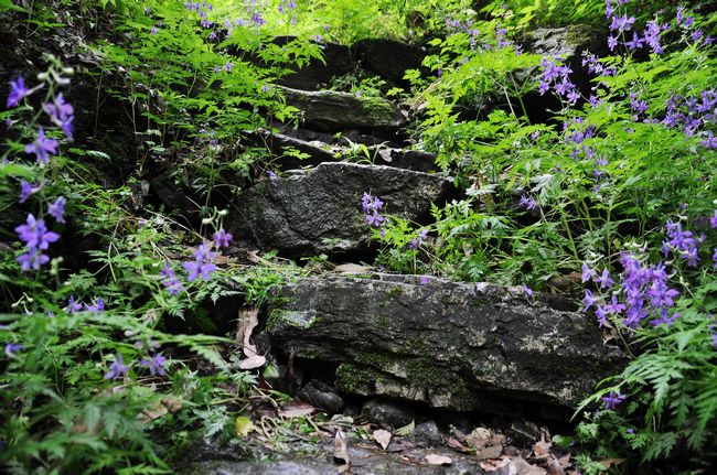 dsc_0405.jpg