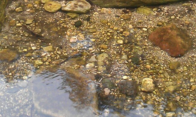 76442194_sendphoto_20120516140906_4.jpg