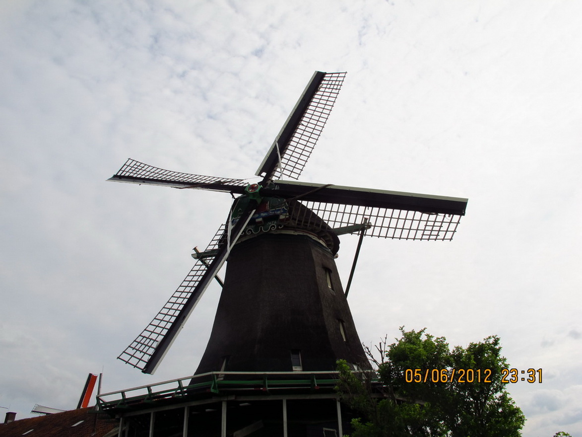img_0350_8.jpg