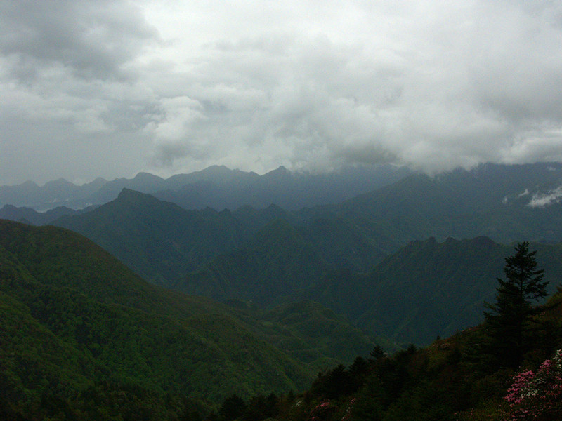 p5126661_.jpg