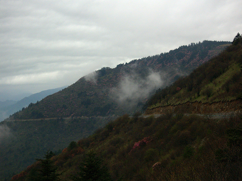 p5136999_.jpg