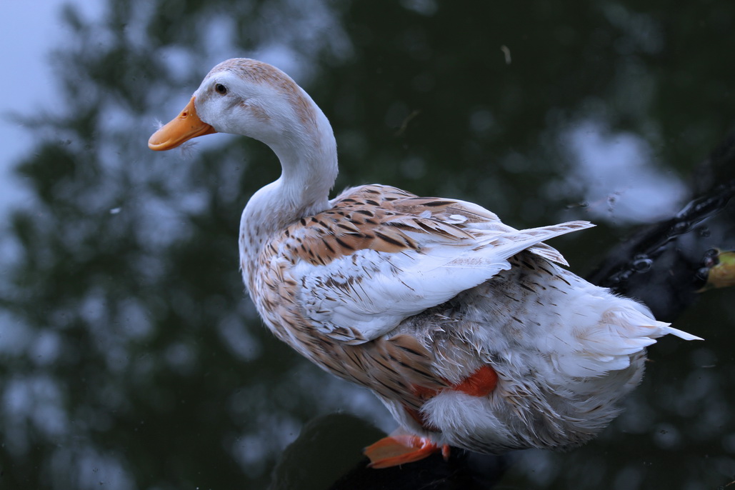 z5.jpg
