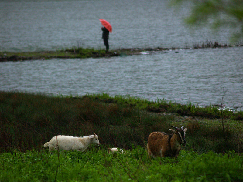 p5126767_.jpg