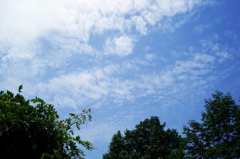 dsc 165.jpg